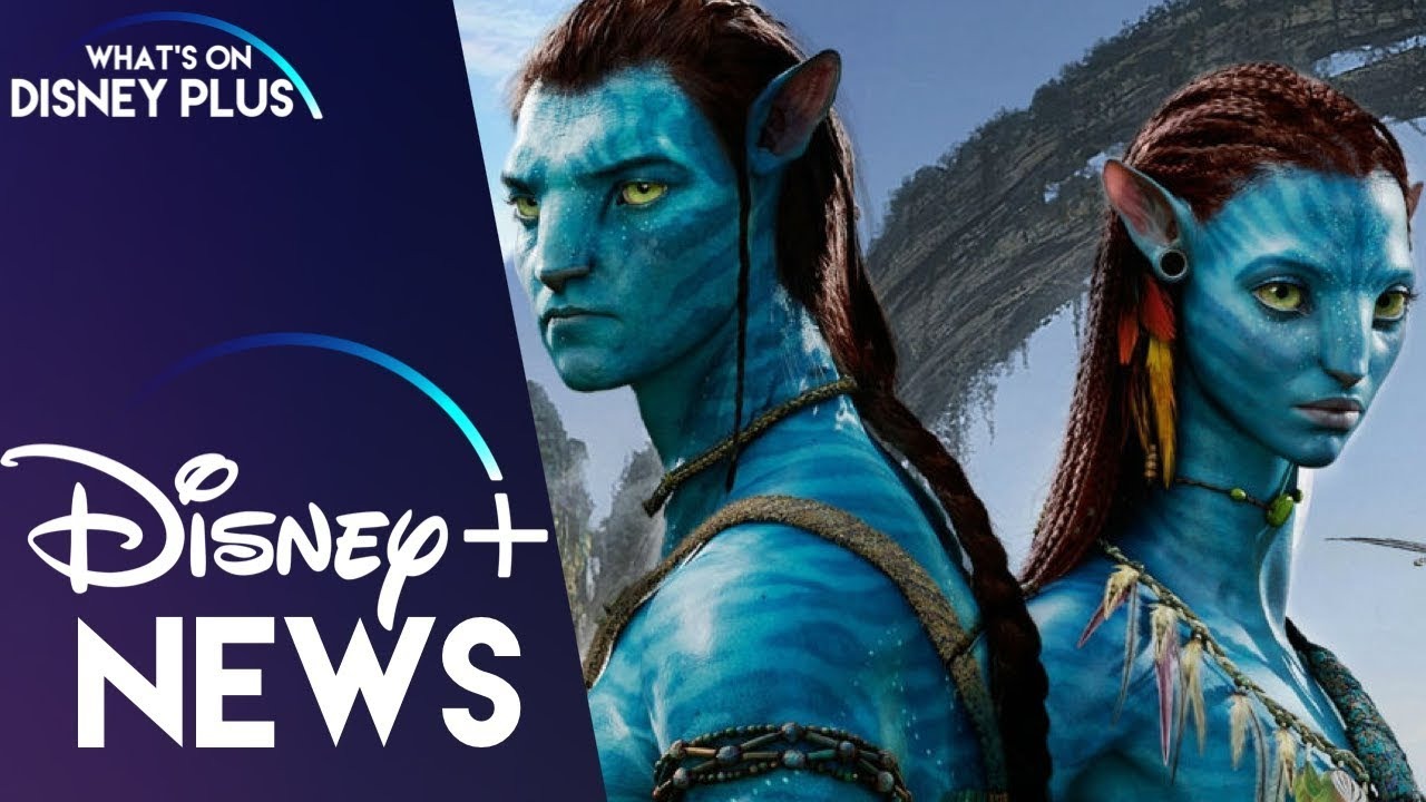 Cuándo se estrenará Avatar El sentido del agua en Disney  Vandal  Random